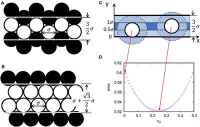 Collective Dynamics in Quasi-One-Dimensional Hard Disk System